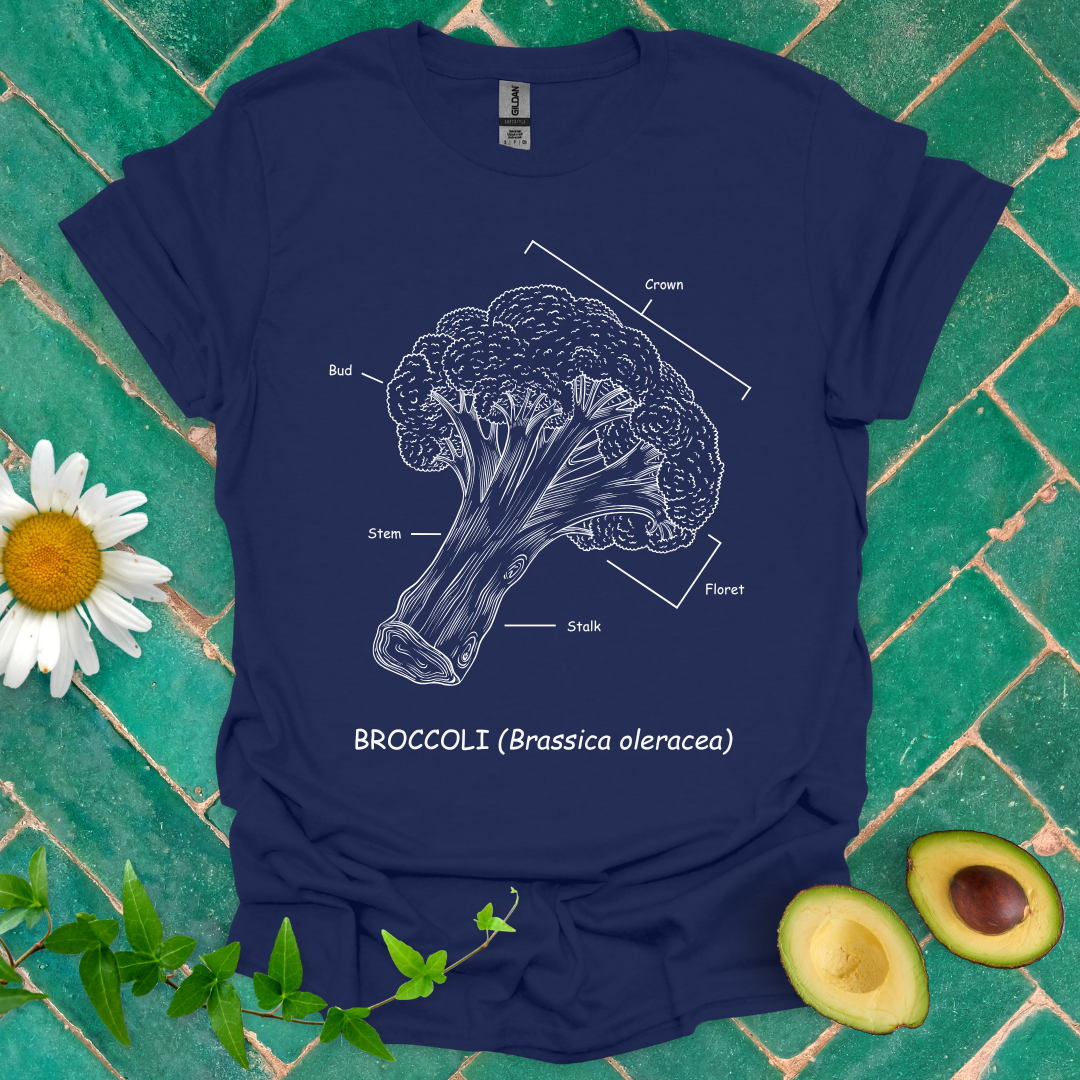Broccoli Anatomy Tee