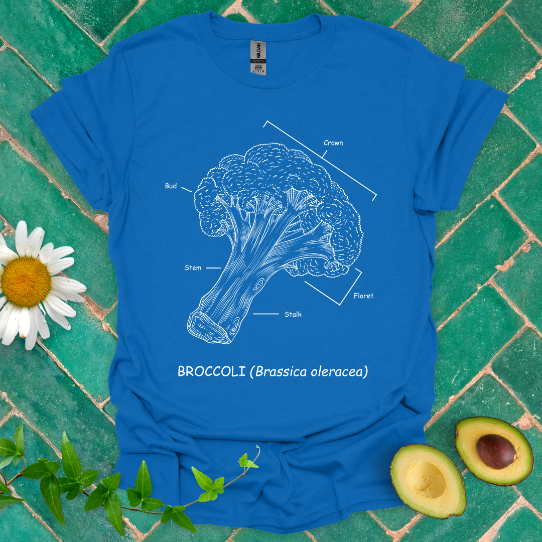 Broccoli Anatomy Tee