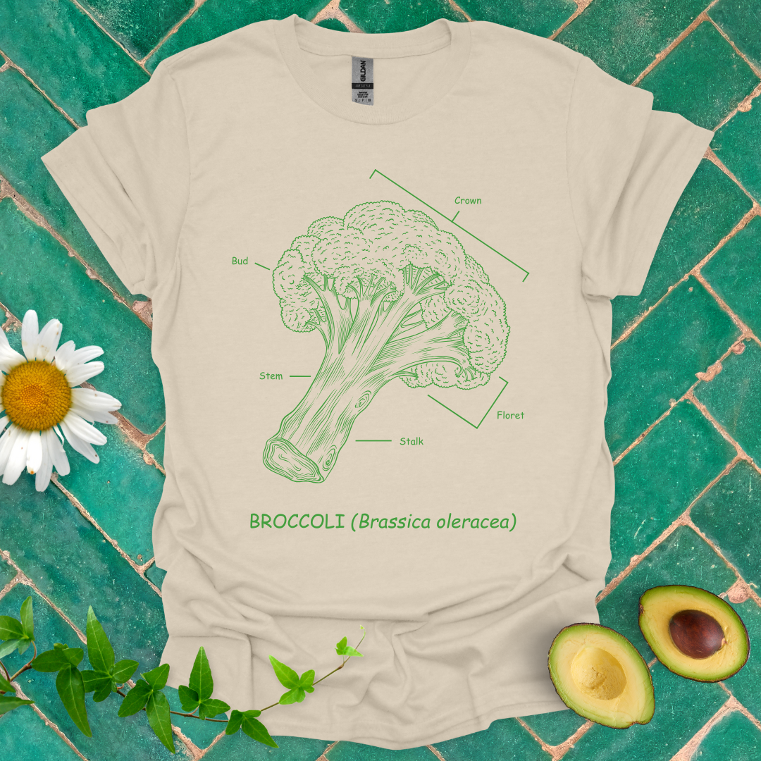 Broccoli Anatomy Tee